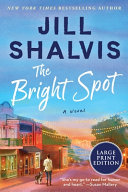 Image for "The Bright Spot"