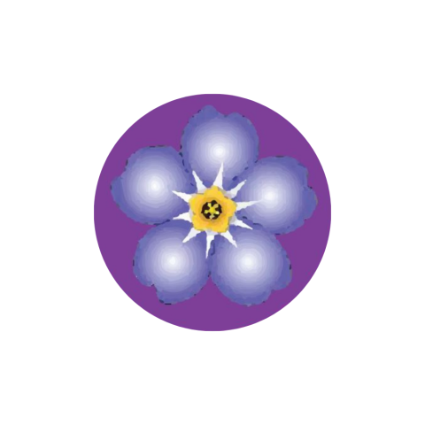 Purple Forget Me Not Flower