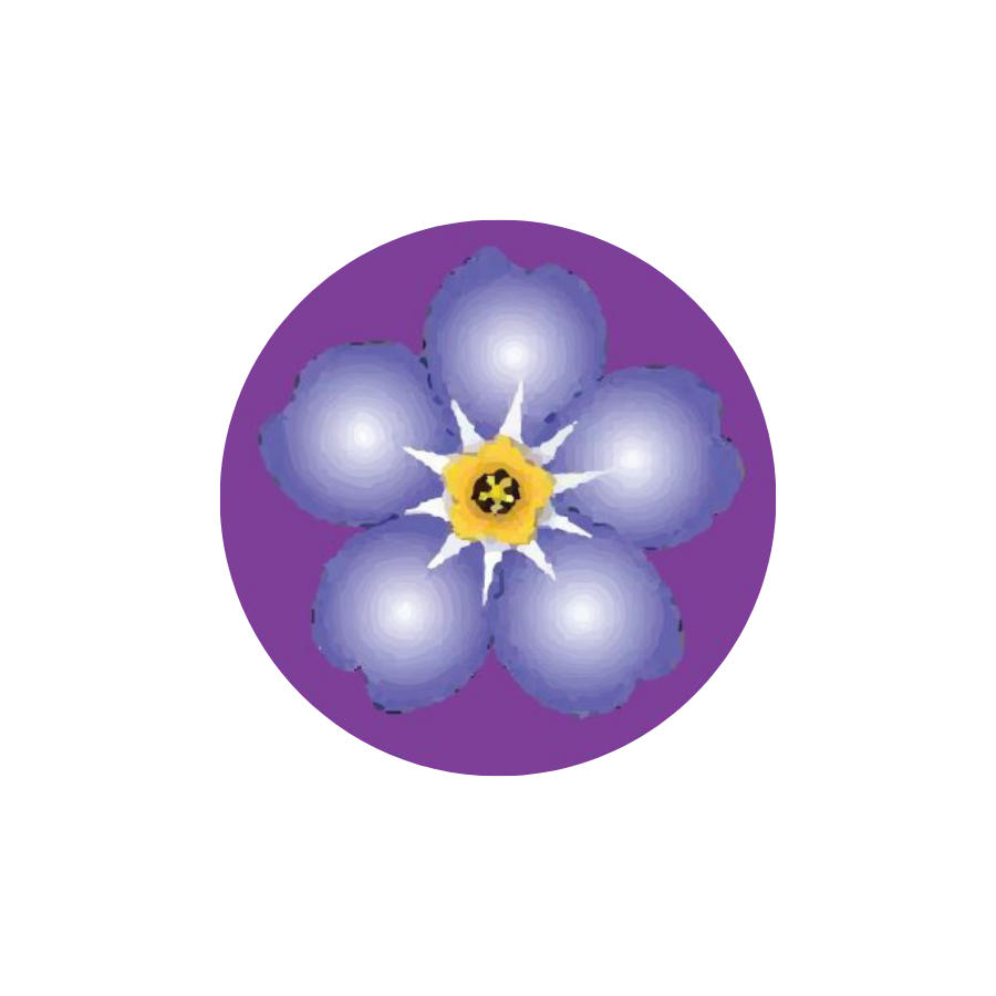 Purple Forget Me Not Flower